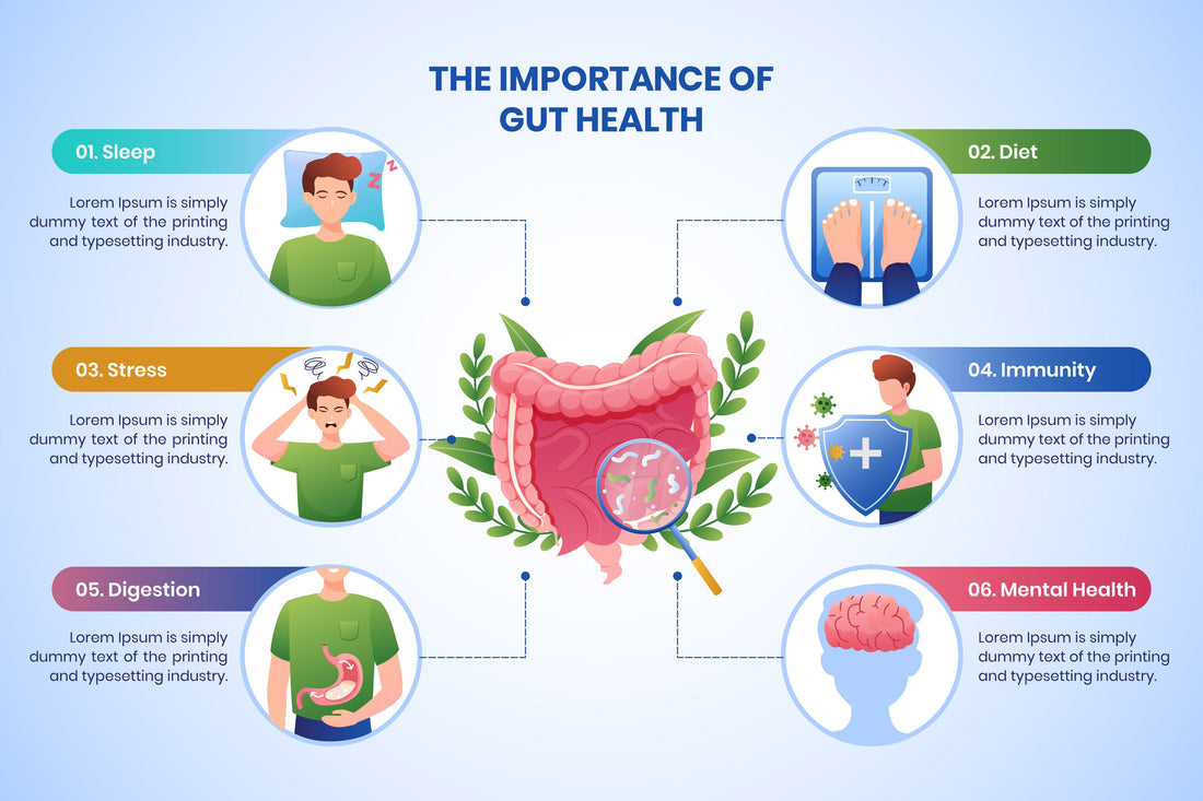Image of a diagram entitled Why Gut Health Matters. It states that gut health is essential for immunity, sleep, digestion, mental health, and skin health, with icon images.