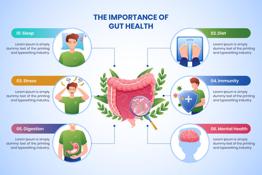 Image of a diagram entitled Why Gut Health Matters. It states that gut health is essential for immunity, sleep, digestion, mental health, and skin health, with icon images.