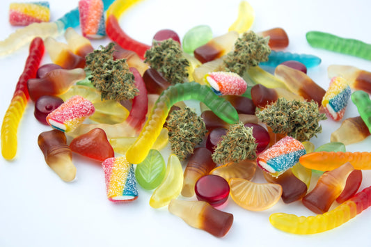 How Long Do THC Gummies Last? A Complete Beginner’s Guide