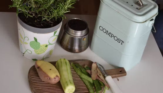 DIY Composting Guide: Turn Your Trash into Black Gold for the Garden