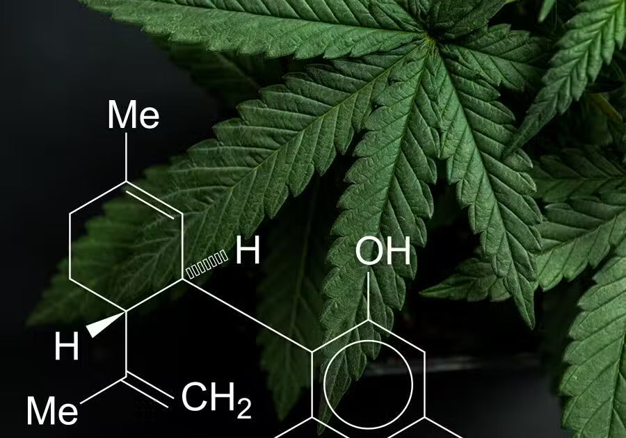 cannabis chemical structure