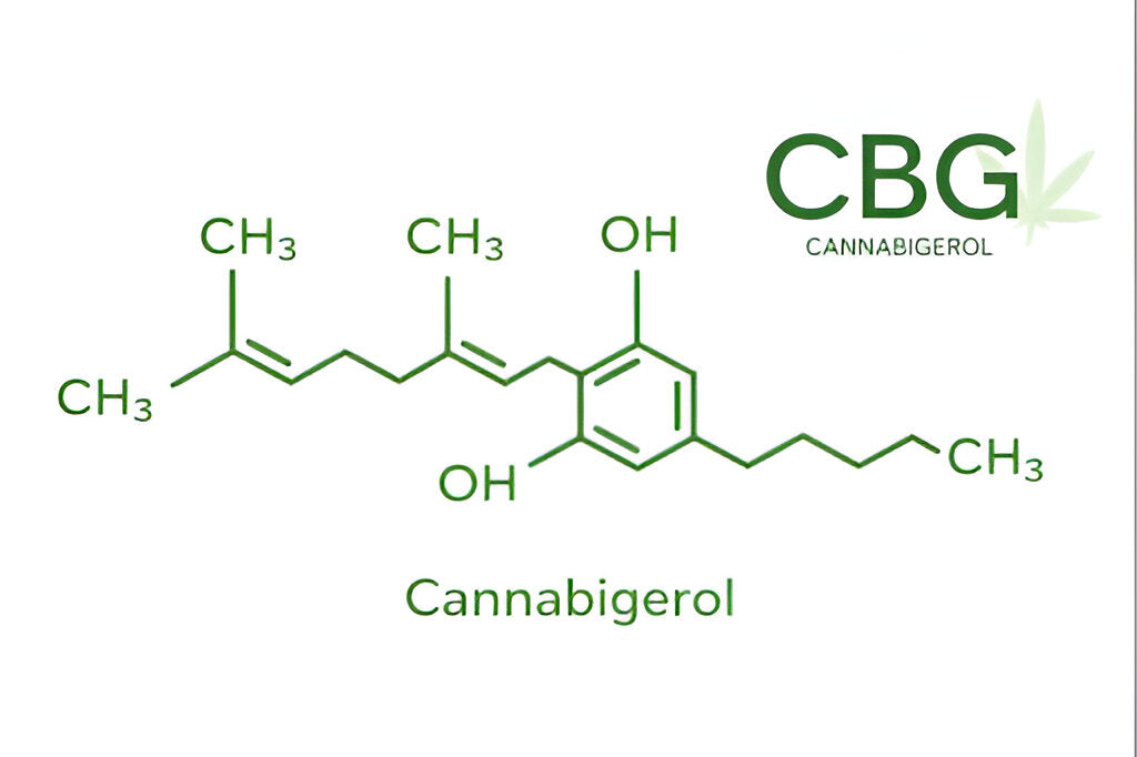 Image of Cannabigerol, pictured is an image of the chemical compound of CBG with a hemp flower behind the chemical structure