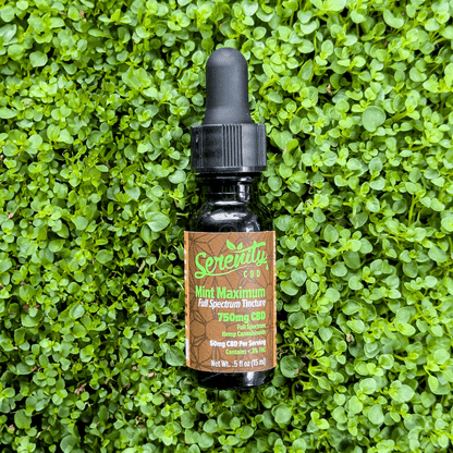 Serenity CBD Maximum Mint 3000mg Oil Tincture photographed on green grass—symbolizing natural origins and restorative wellness