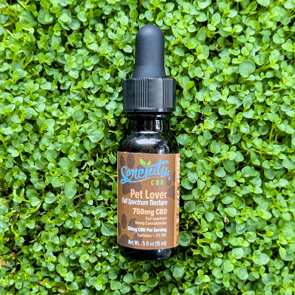 Serenity CBD Pet Tincture placed on green grass—evoking natural, safe, and gentle wellness support for furry companions