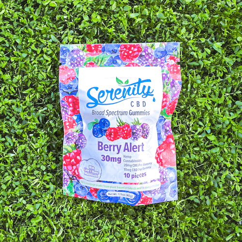 Serenity CBD ‘Focus’ gummies pouch placed on fresh green grass—emphasizing natural plant-powered support for mental sharpness and wellness